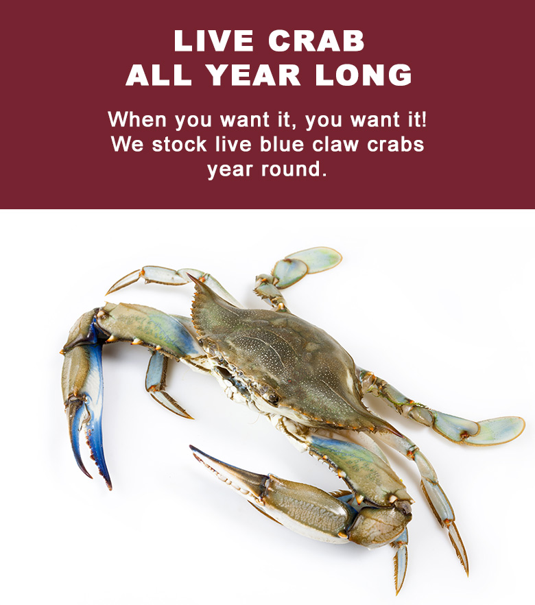 johns-seafood-live-crab-blueclaw-nj